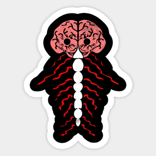 Nervous System Brain and Spinal Cord Sticker